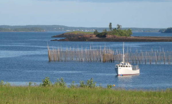 Downeast Coastal Maine